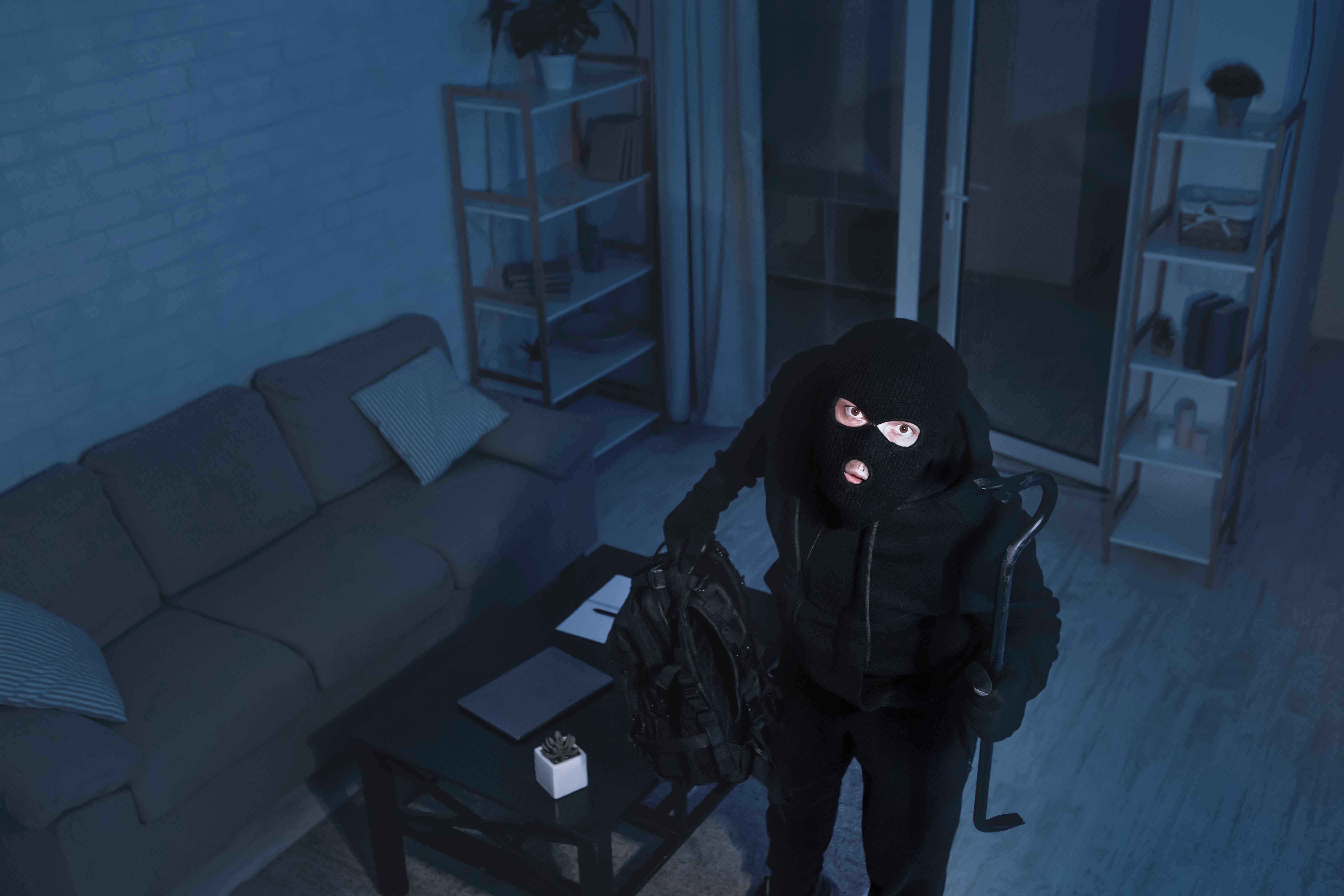 Business Security Professional