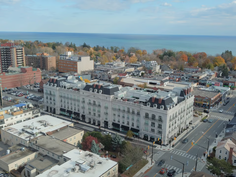 Security Professional