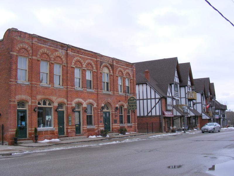 Security Professional